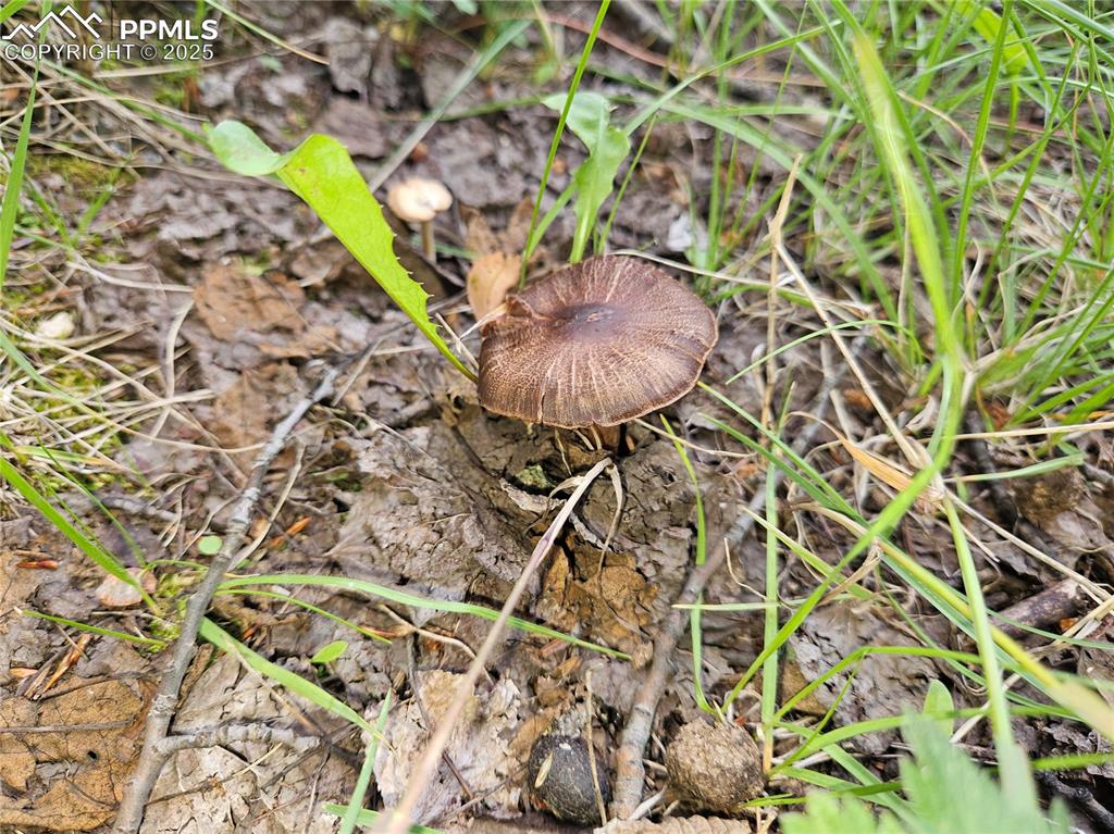 Image 18 of 47: Other