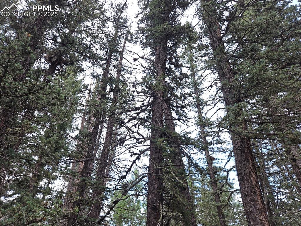 Image 22 of 47: Other