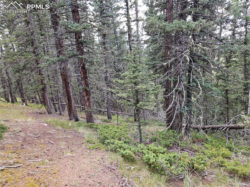 Image 23 of 47: Other