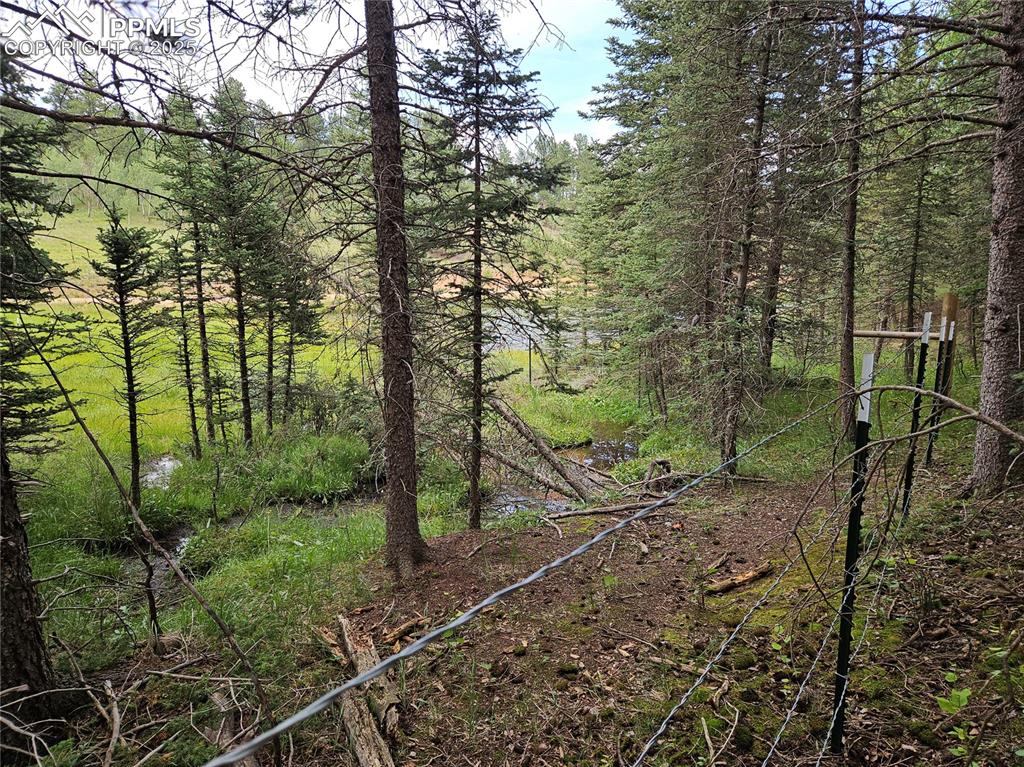 Image 25 of 47: Other