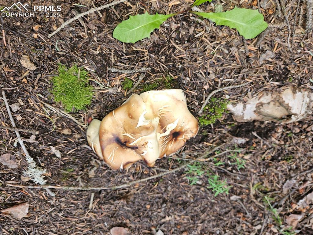 Image 26 of 47: Other