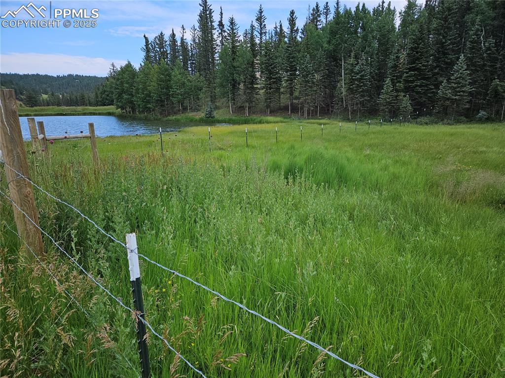 Image 3 of 47: Other