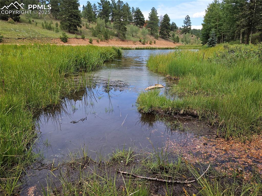 Image 31 of 47: View