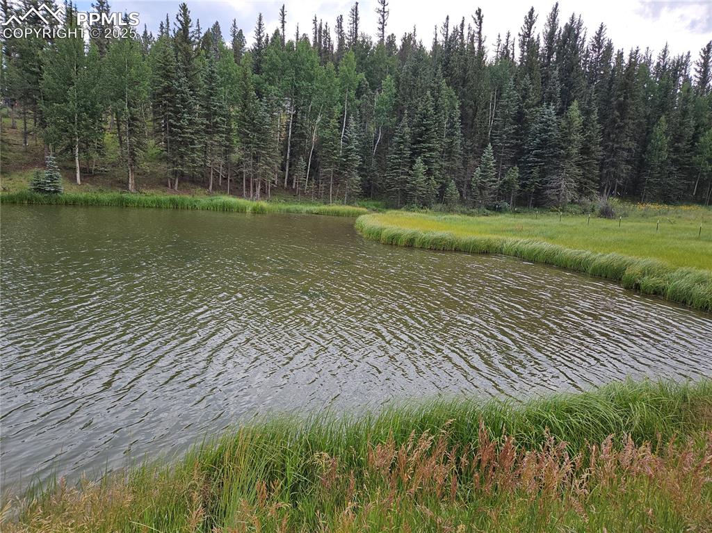 Image 9 of 47: Private HOA Community Fishing Pond