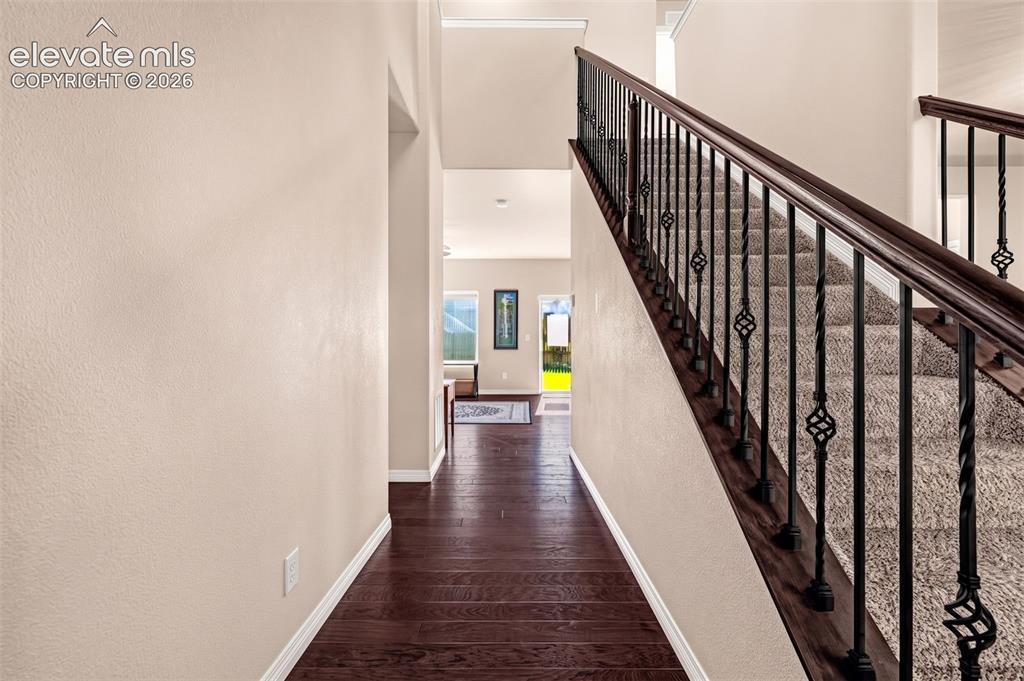 Image 4 of 45: Hardwood flooring, carpeted staircase, wrought iron balusters, dark wood ha