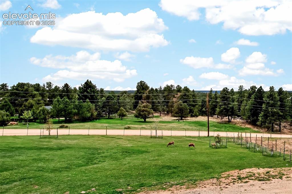 Image 47 of 50: Lush green pastures your horses will love!!!