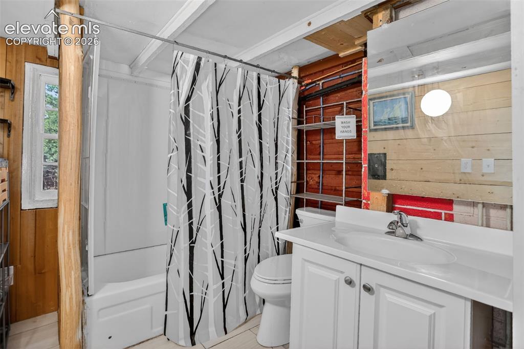 Image 11 of 39: Newly remodeled bath includes new shower and aspen tree accents
