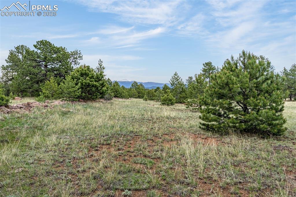 Image 29 of 36: View of undeveloped land featuring a view of Pike