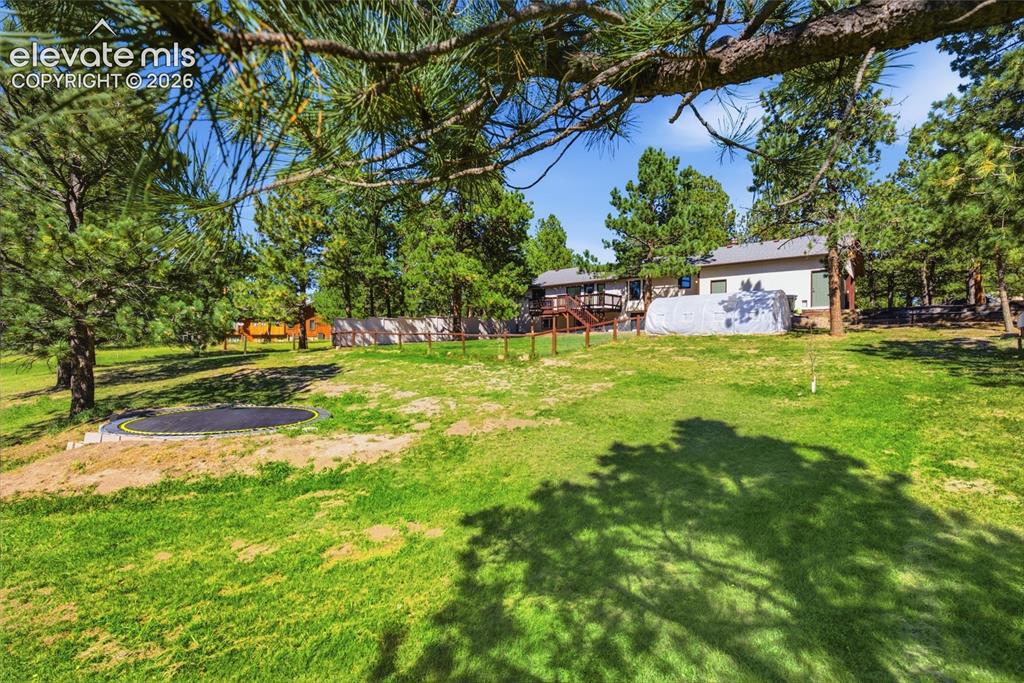 Image 33 of 37: Expansive grassy yard with mature trees and a built-in trampoline