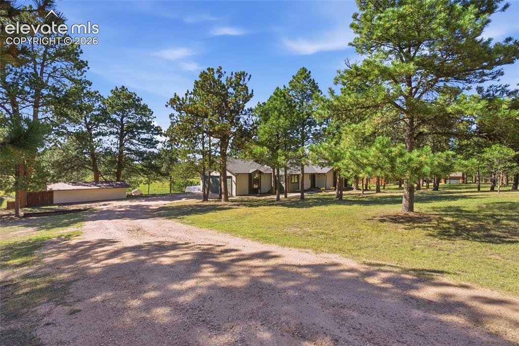 Image 34 of 37: Expansive lot featuring a gravel driveway, mature evergreen trees, a detach