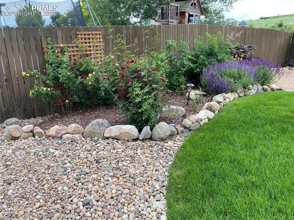 Image 49 of 50: Yard