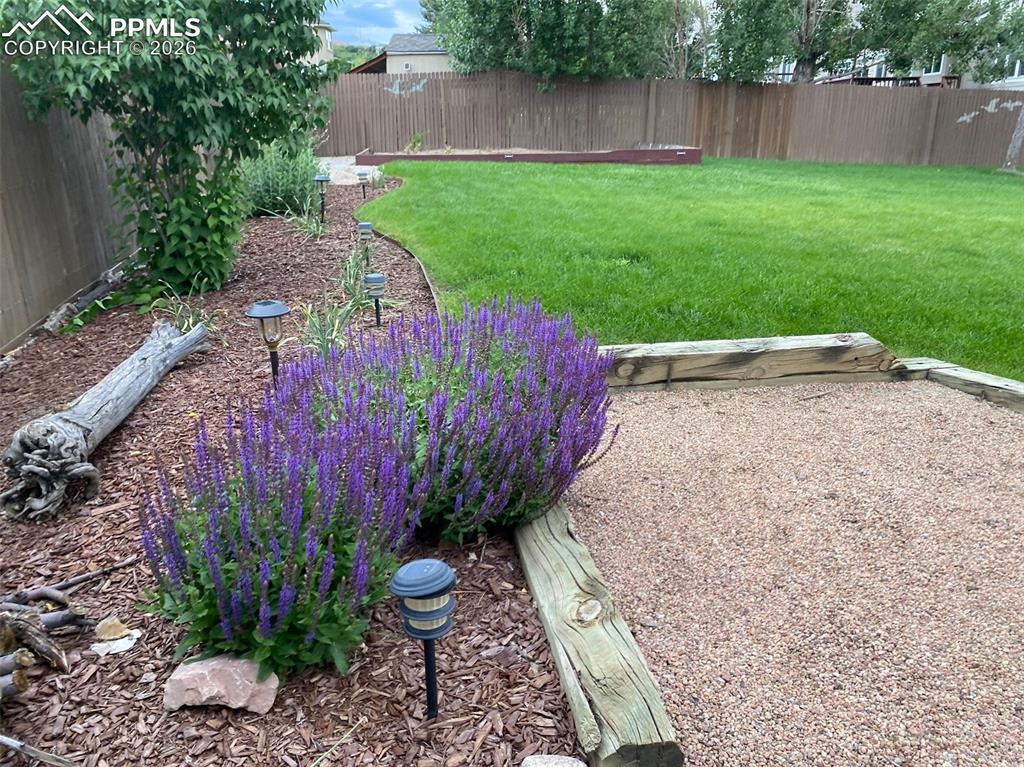 Image 50 of 50: Yard