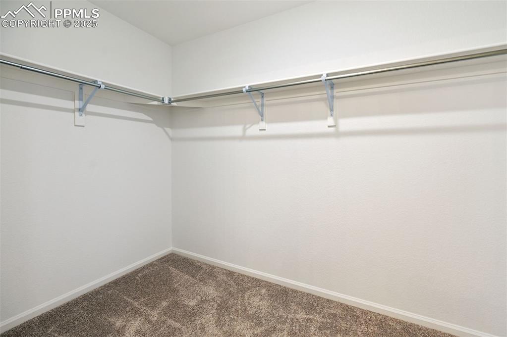 Image 23 of 24: Walk in closet featuring carpet floors