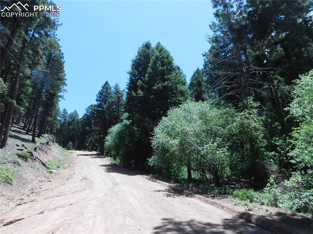 Image 11 of 34: No Description Available