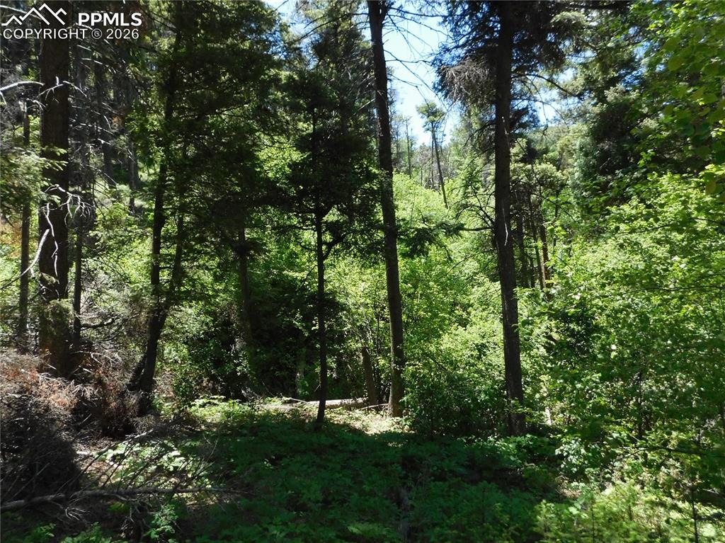 Image 12 of 34: No Description Available