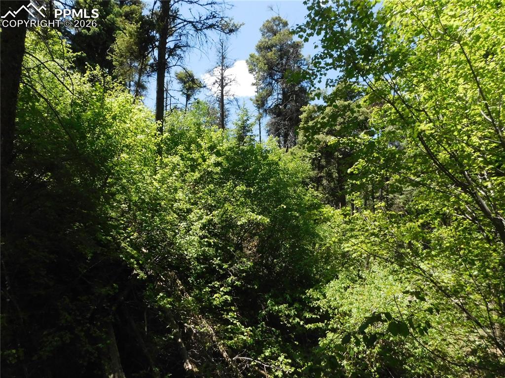 Image 13 of 34: No Description Available