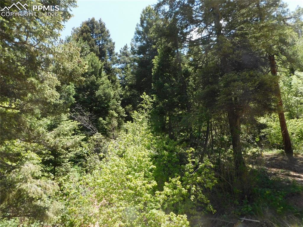 Image 16 of 34: No Description Available