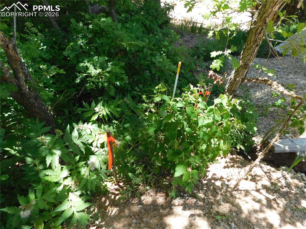 Image 17 of 34: No Description Available