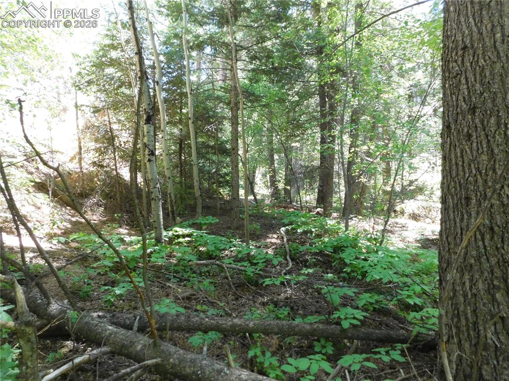 Image 2 of 34: No Description Available