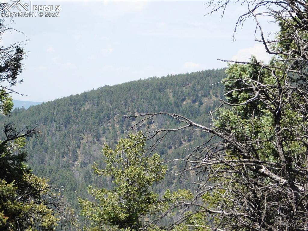 Image 21 of 34: View from lot