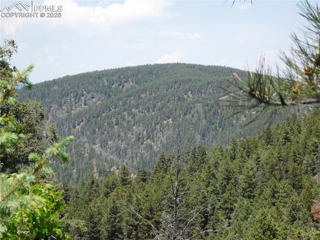 Image 22 of 34: View from lot