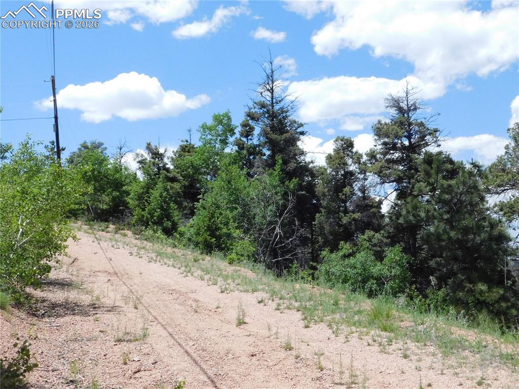 Image 24 of 34: No Description Available