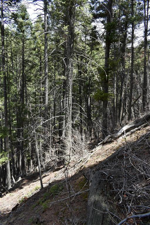 Image 27 of 34: No Description Available