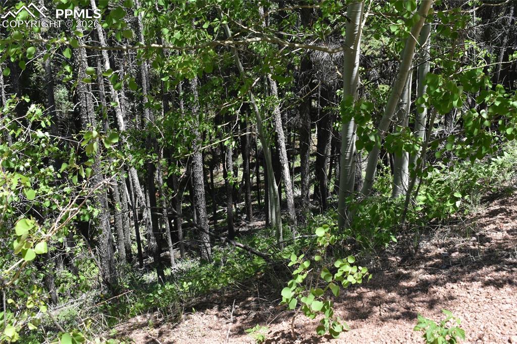 Image 28 of 34: No Description Available