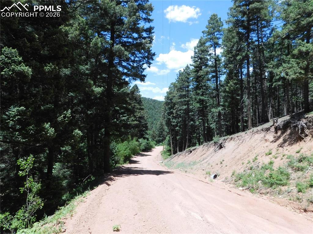 Image 3 of 34: No Description Available