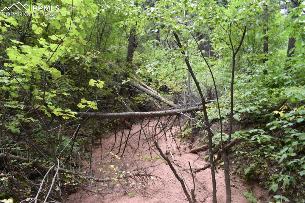 Image 30 of 34: No Description Available