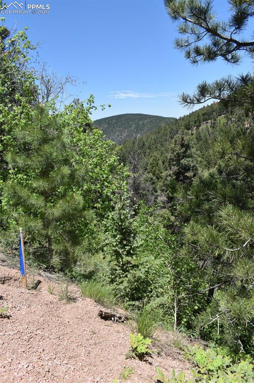 Image 32 of 34: No Description Available