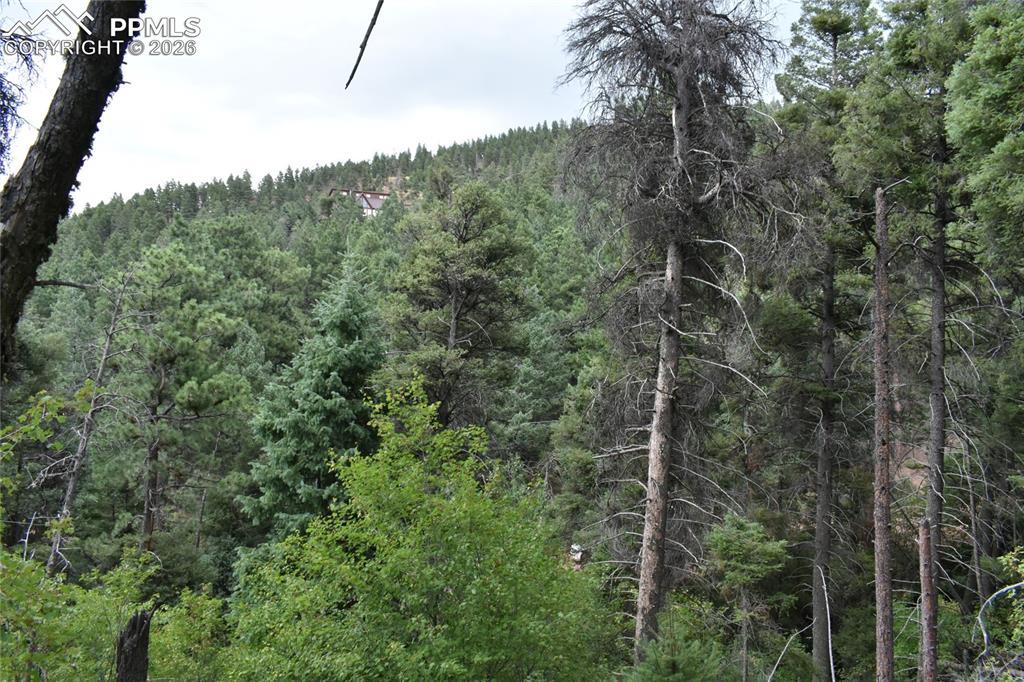 Image 33 of 34: No Description Available