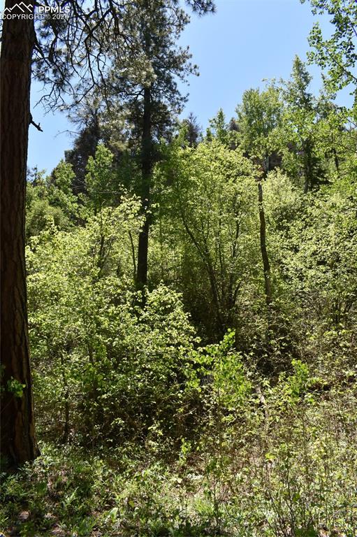 Image 34 of 34: No Description Available