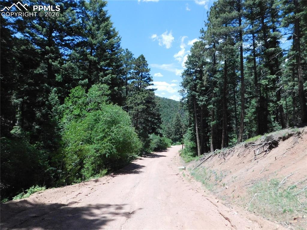 Image 5 of 34: No Description Available