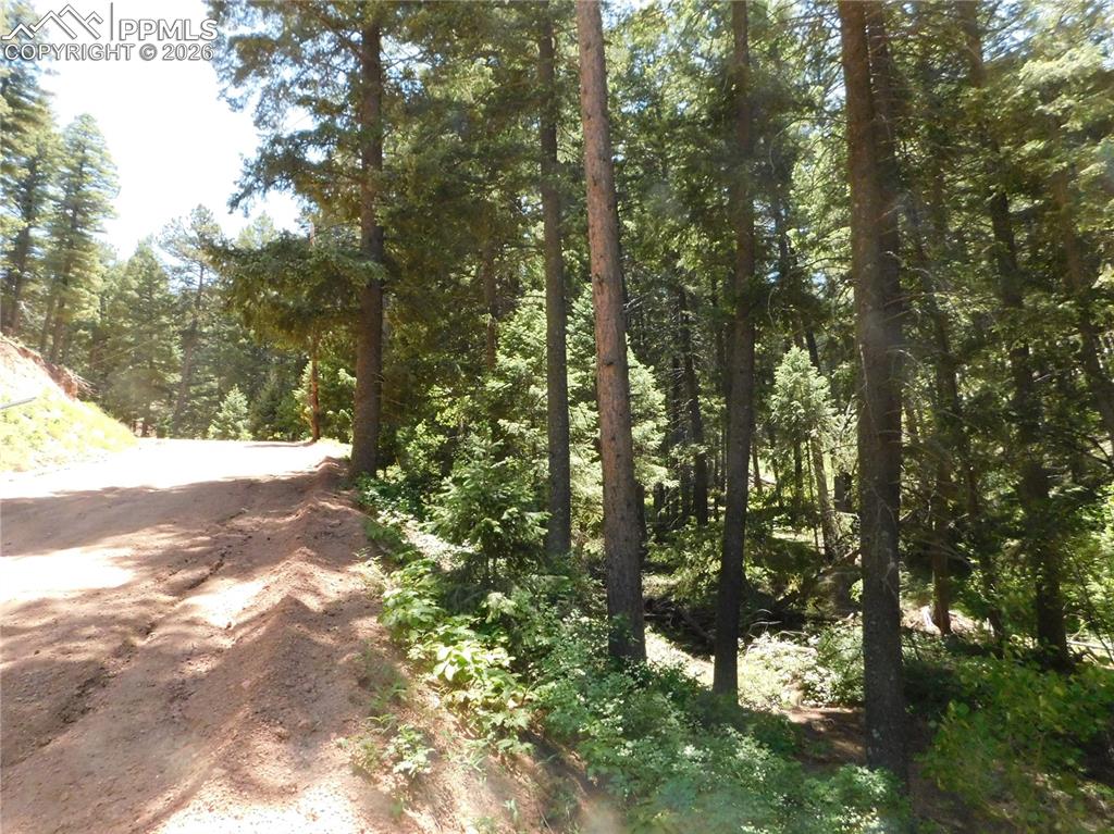 Image 6 of 34: No Description Available