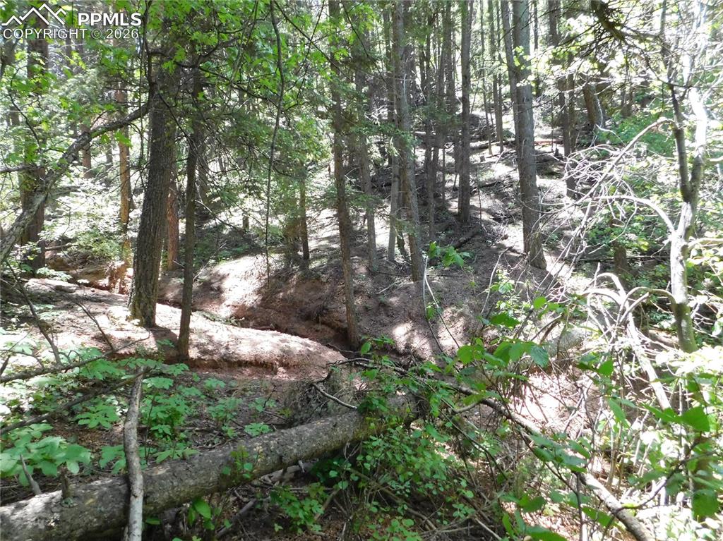 Image 7 of 34: No Description Available