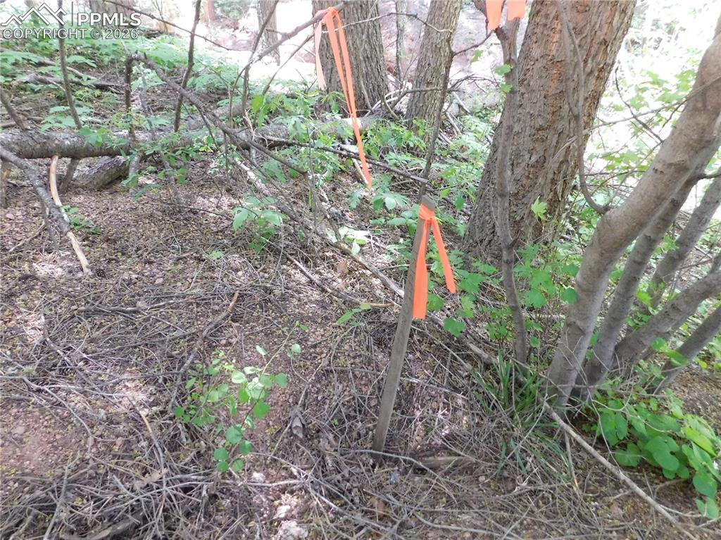 Image 8 of 34: No Description Available