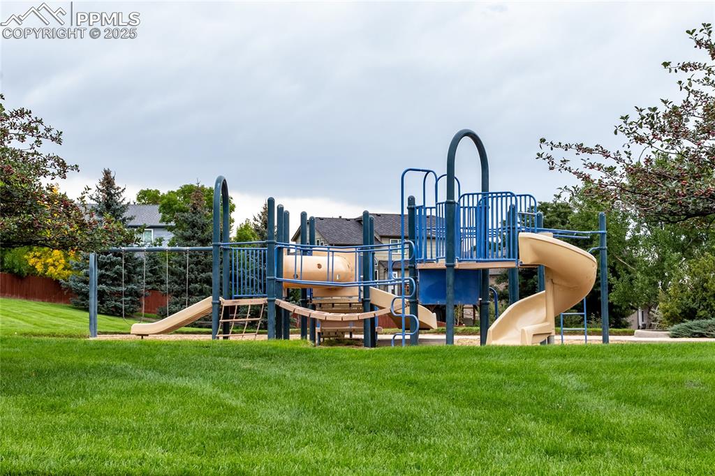 Image 45 of 45: Other