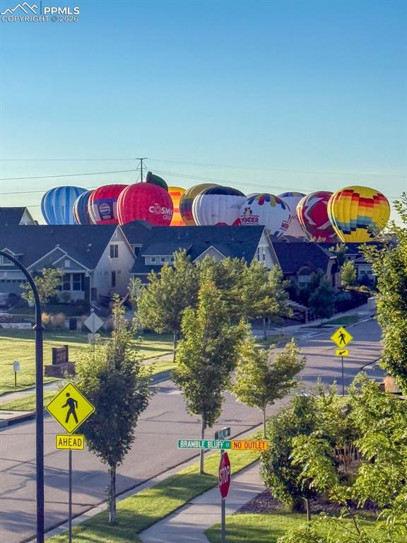 Image 42 of 43: Other