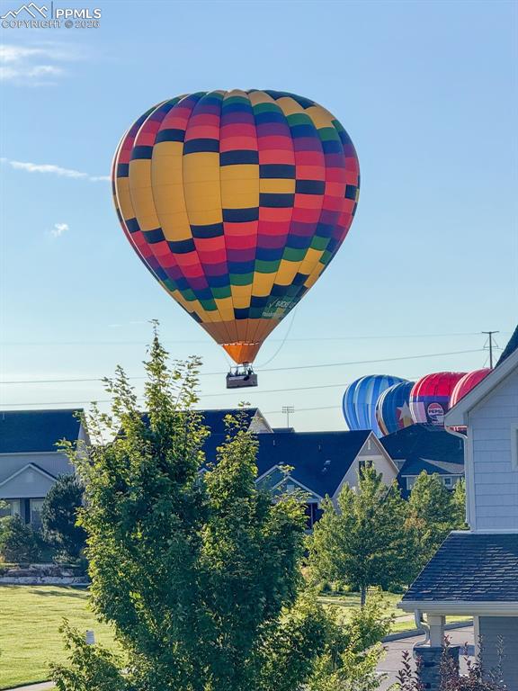 Image 43 of 43: Other