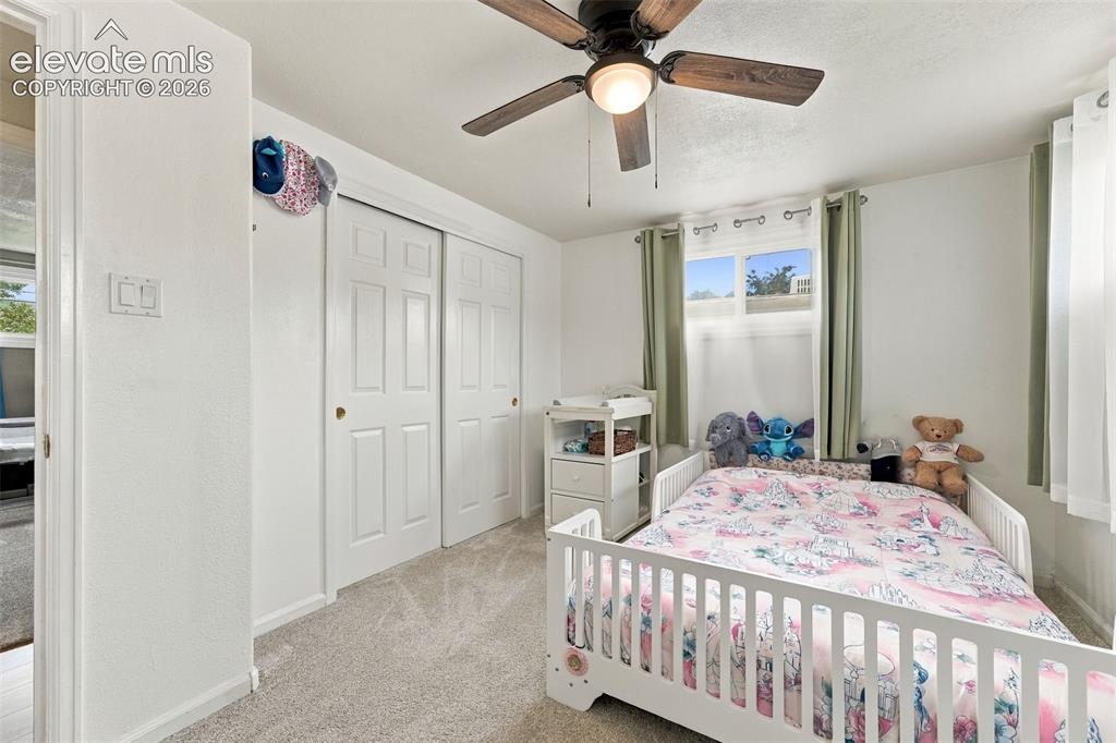 Image 13 of 48: Ceiling fan with wood-finish blades, dual windows, and wall-to-wall carpeti