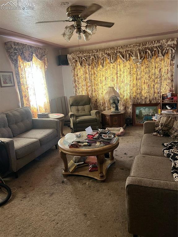 Image 3 of 5: Living Room