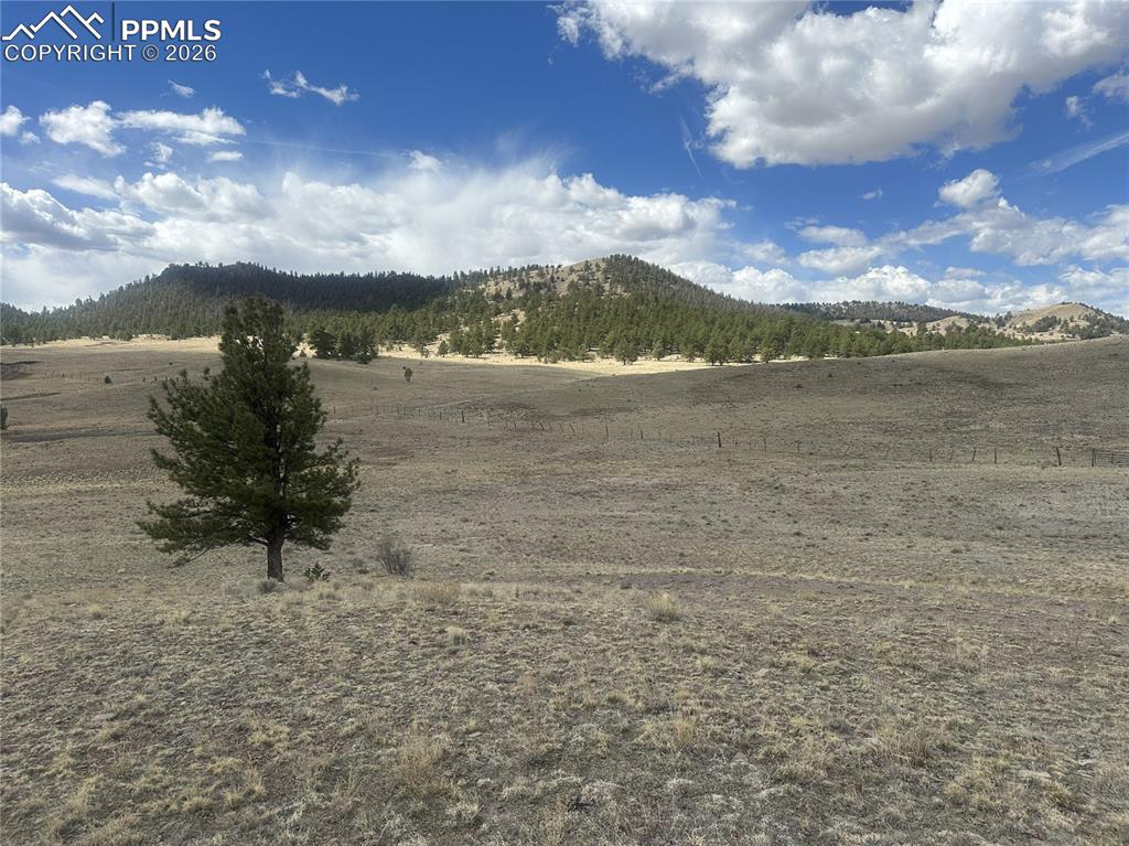 Image 14 of 32: View
