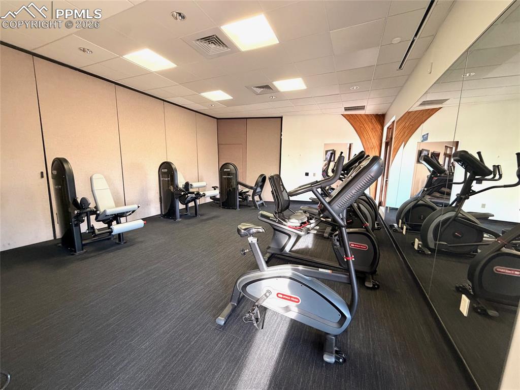 Image 30 of 34: Lots of fitness equipment for resident use