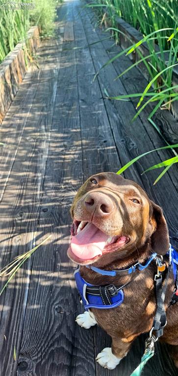 Image 40 of 41: Miles of walking paths