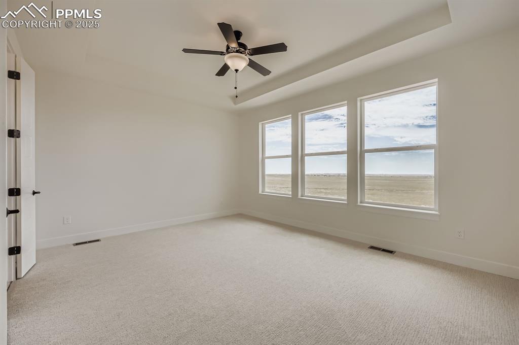 Image 14 of 29: Empty room featuring a raised ceiling, light colored carpet, and a ceiling 