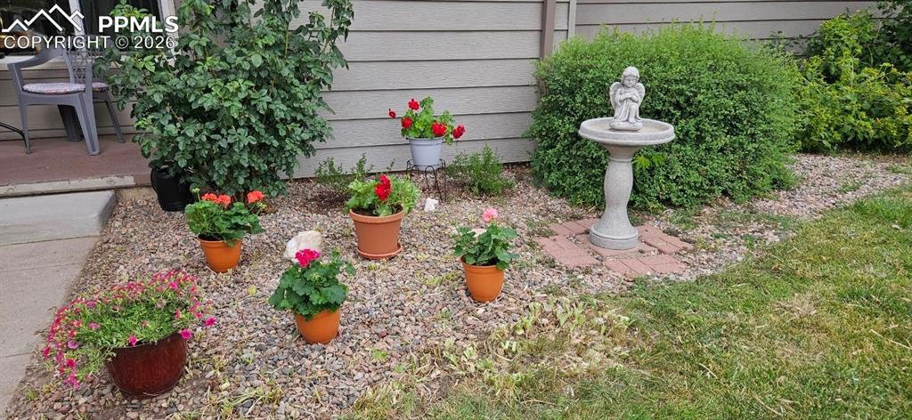 Image 39 of 42: Yard