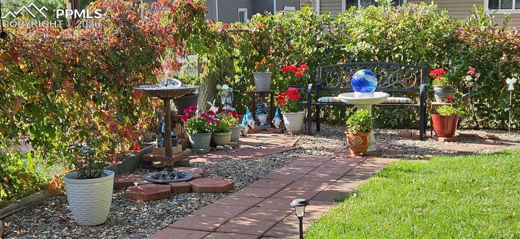 Image 41 of 42: Yard