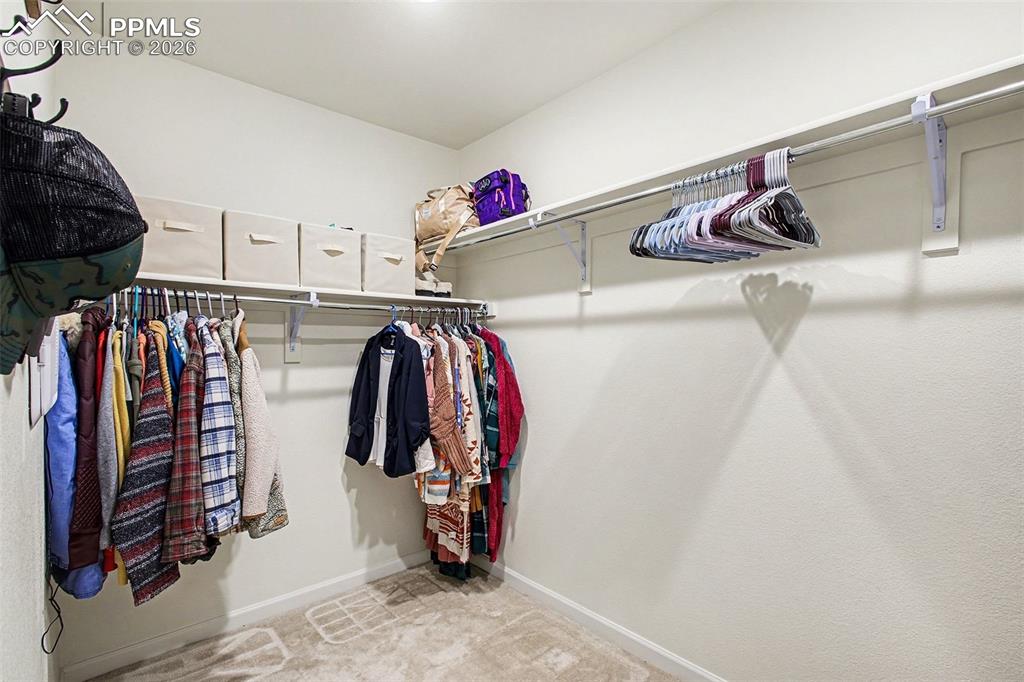 Image 16 of 23: primary walk-in