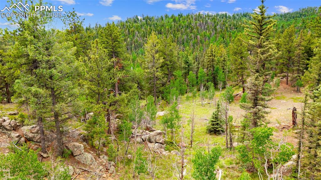 Image 16 of 32: Other